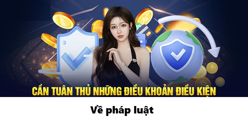 Điều khoản và điều kiện về pháp luật của sân chơi i9BET